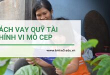 Cách vay quỹ tài chính vi mô CEP