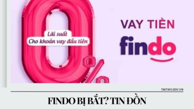 findo bị bắt