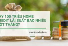 Vay 100 triệu Home Credit lãi suất bao nhiêu một tháng?