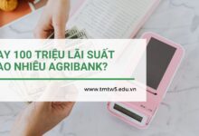 Vay 100 triệu lãi suất bao nhiêu Agribank? Bí kíp vay lãi suất thấp