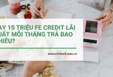 Vay 15 triệu FE Credit lãi suất mỗi tháng trả bao nhiêu?