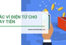 các ví điện tử cho vay tiền