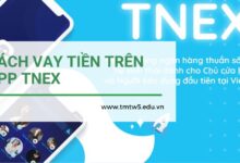 cách vay tiền trên app tnex