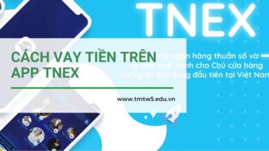 cách vay tiền trên app tnex