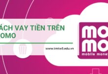 cách vay tiền trên momo