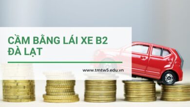 cầm bằng lái xe b2 đà lạt